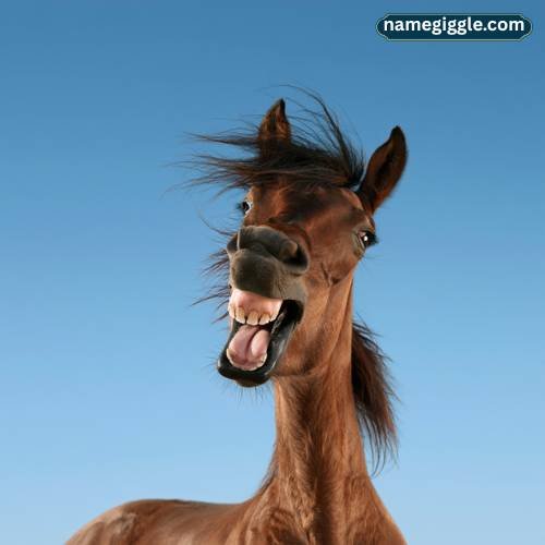 Female Funny Horse Names