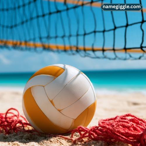 Funny Volleyball Team Names (With Meanings)