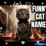 funny cat names