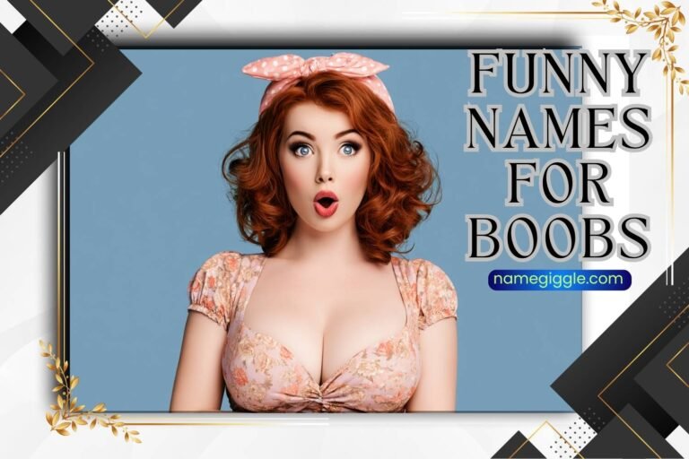 funny names for boobs