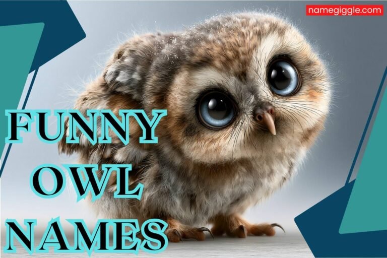 funny owl names