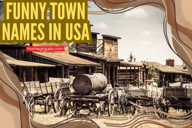 funny town names in the usa