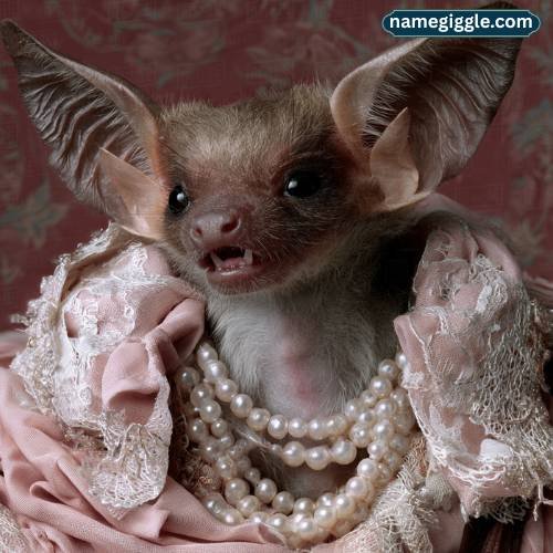 Funny Female Bat Names