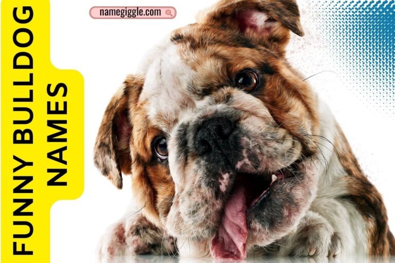funny bulldog names