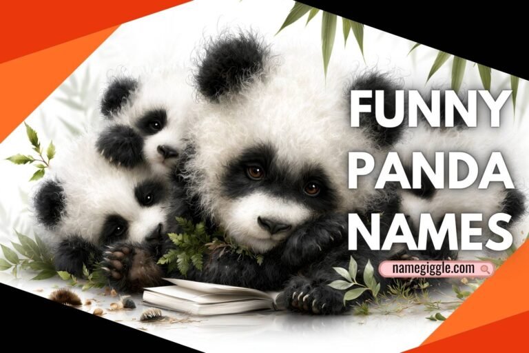 funny panda names